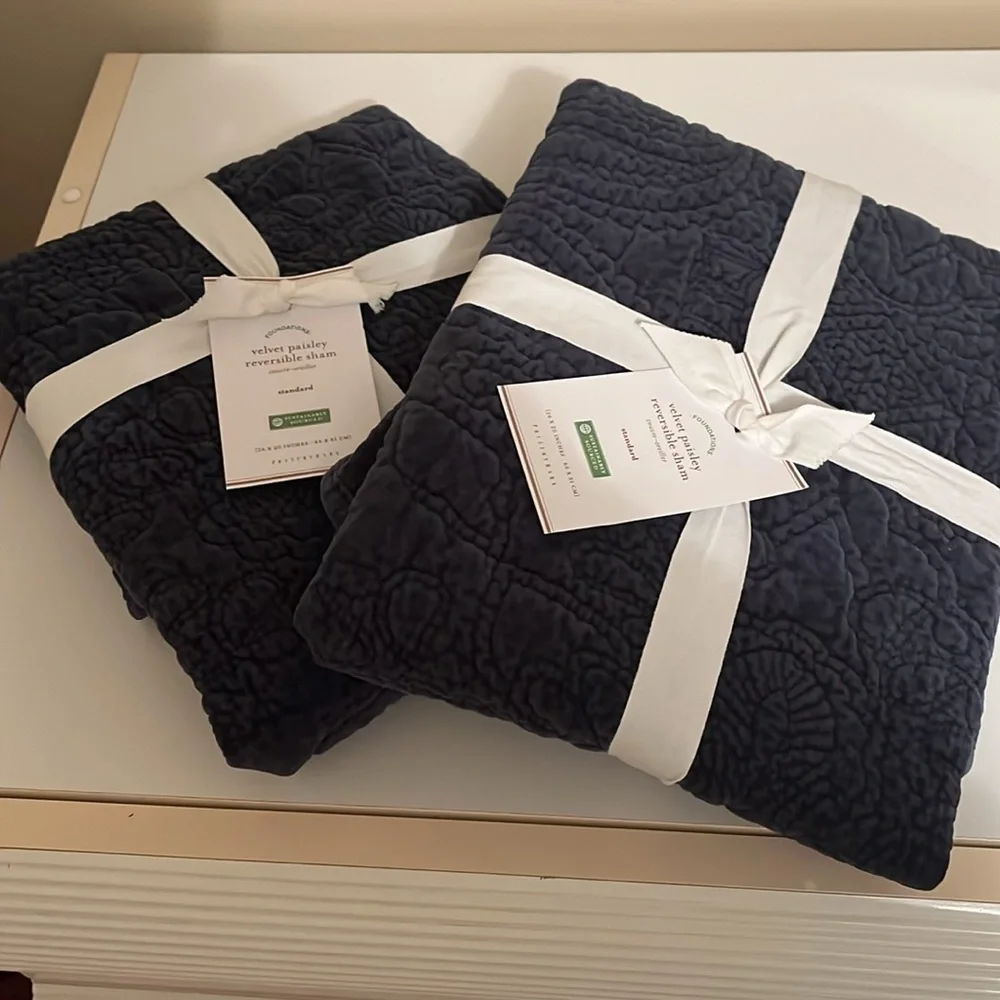 Pottery Barn pillow shams set of two NWT
